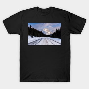 Ice on the Icefields Parkway T-Shirt